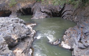 Dandeli