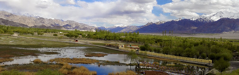 leh ladakh travel agents