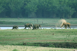 Munnar
