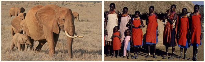  KENYA PACKAGE  