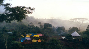 Nilgiris