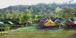 Nilgiris