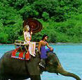 International Packages,Singapore,Kenya,Mauritius,Malaysia,Maldives,Hongkong,Athens,
