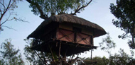 Kerala Holiday Tour Packages| Best travel package deals to Cochin,Munnar,Alleppey