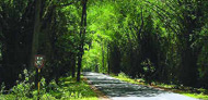 Temples Tours in Tamil Nadu,Best package trip Famous Temples of Tamil Nadu Tourism