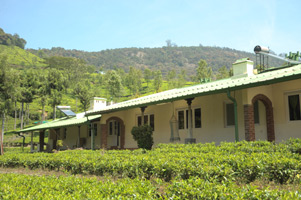 TEA NEST – A PLANTATION BUNAGLOW IN COONOOR